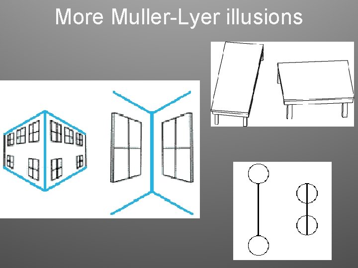 More Muller-Lyer illusions More Muller-Lyer illusions