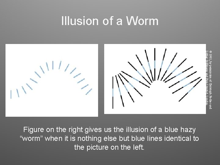 Illusion of a Worm © 1981, by permission of Christoph Redies and Lothar Spillmann Illusion of a Worm © 1981, by permission of Christoph Redies and Lothar Spillmann