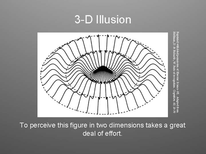 3 -D Illusion Reprinted with kind permission of Elsevier Science-NL. Adapted from Hoffman, D. 3 -D Illusion Reprinted with kind permission of Elsevier Science-NL. Adapted from Hoffman, D.