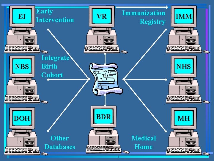 EI Early Intervention NBS Integrate Birth Cohort VR Immunization Registry NHS BDR DOH Other