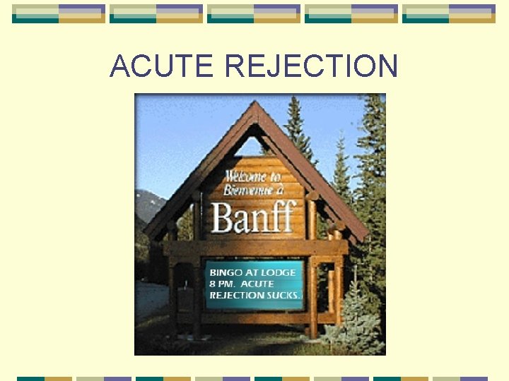 ACUTE REJECTION 