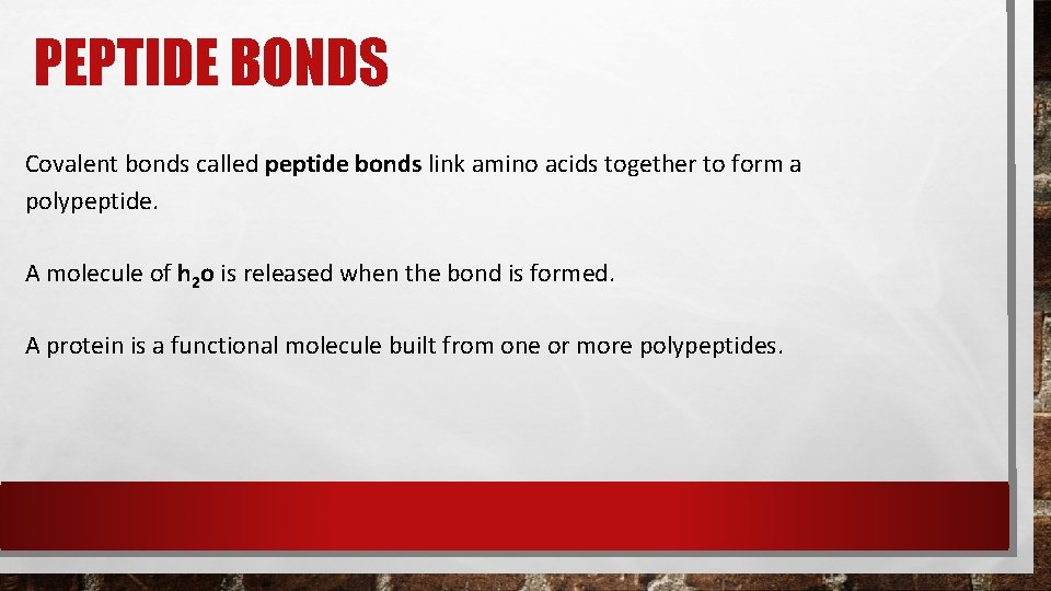 PEPTIDE BONDS Covalent bonds called peptide bonds link amino acids together to form a PEPTIDE BONDS Covalent bonds called peptide bonds link amino acids together to form a