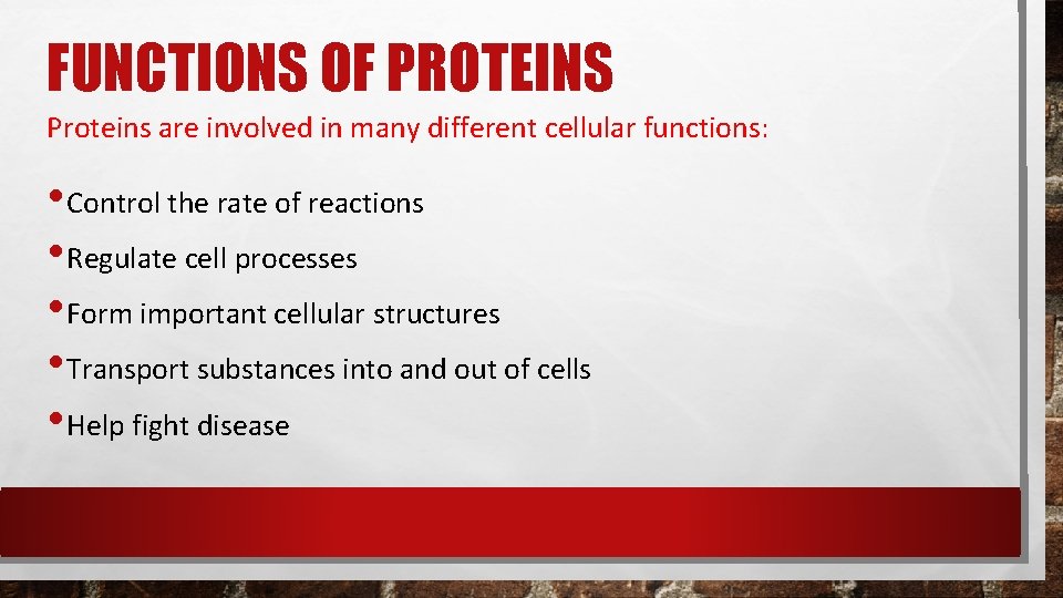 FUNCTIONS OF PROTEINS Proteins are involved in many different cellular functions: • Control the FUNCTIONS OF PROTEINS Proteins are involved in many different cellular functions: • Control the