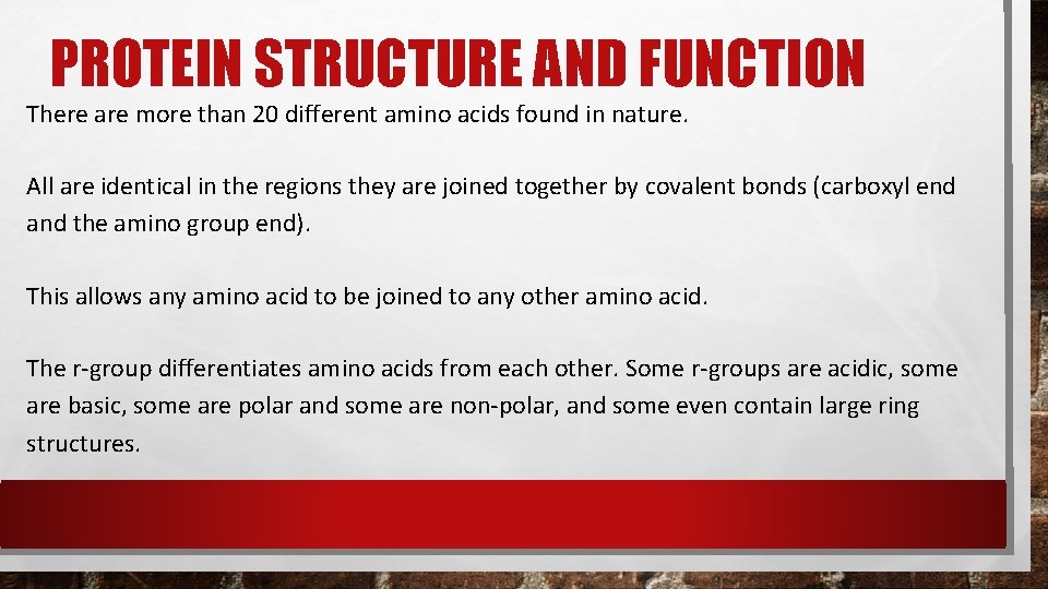 PROTEIN STRUCTURE AND FUNCTION There are more than 20 different amino acids found in PROTEIN STRUCTURE AND FUNCTION There are more than 20 different amino acids found in
