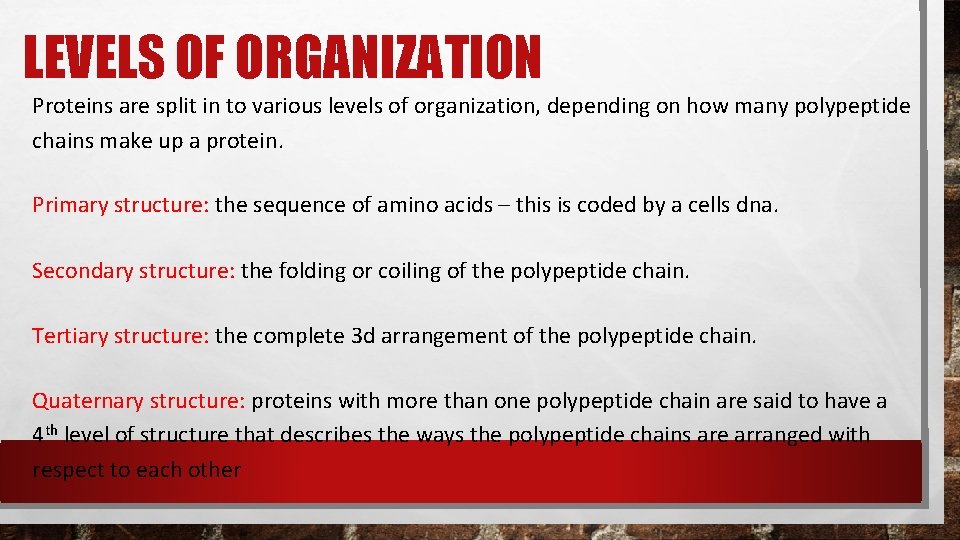 LEVELS OF ORGANIZATION Proteins are split in to various levels of organization, depending on LEVELS OF ORGANIZATION Proteins are split in to various levels of organization, depending on