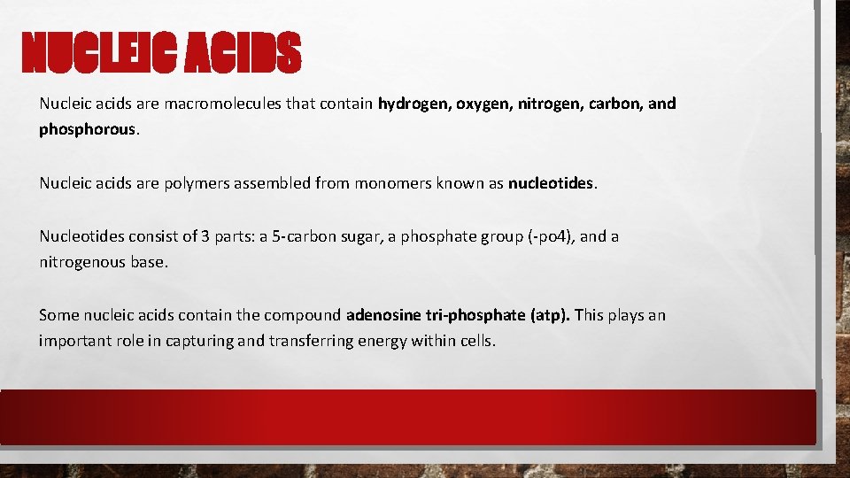 NUCLEIC ACIDS Nucleic acids are macromolecules that contain hydrogen, oxygen, nitrogen, carbon, and phosphorous. NUCLEIC ACIDS Nucleic acids are macromolecules that contain hydrogen, oxygen, nitrogen, carbon, and phosphorous.
