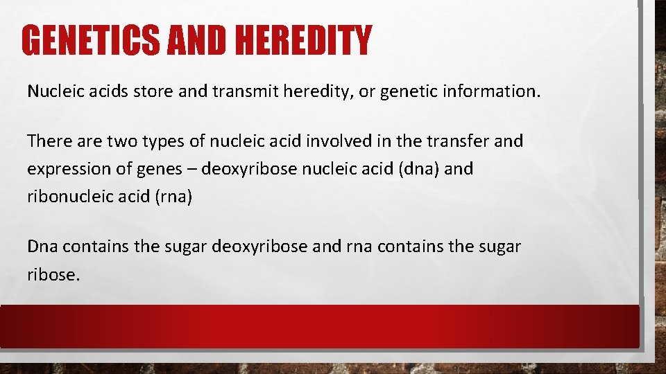 GENETICS AND HEREDITY Nucleic acids store and transmit heredity, or genetic information. There are GENETICS AND HEREDITY Nucleic acids store and transmit heredity, or genetic information. There are