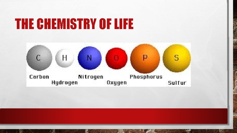 THE CHEMISTRY OF LIFE THE CHEMISTRY OF LIFE