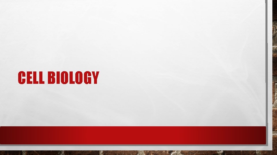 CELL BIOLOGY CELL BIOLOGY