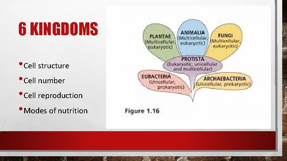6 KINGDOMS • Cell structure • Cell number • Cell reproduction • Modes of 6 KINGDOMS • Cell structure • Cell number • Cell reproduction • Modes of