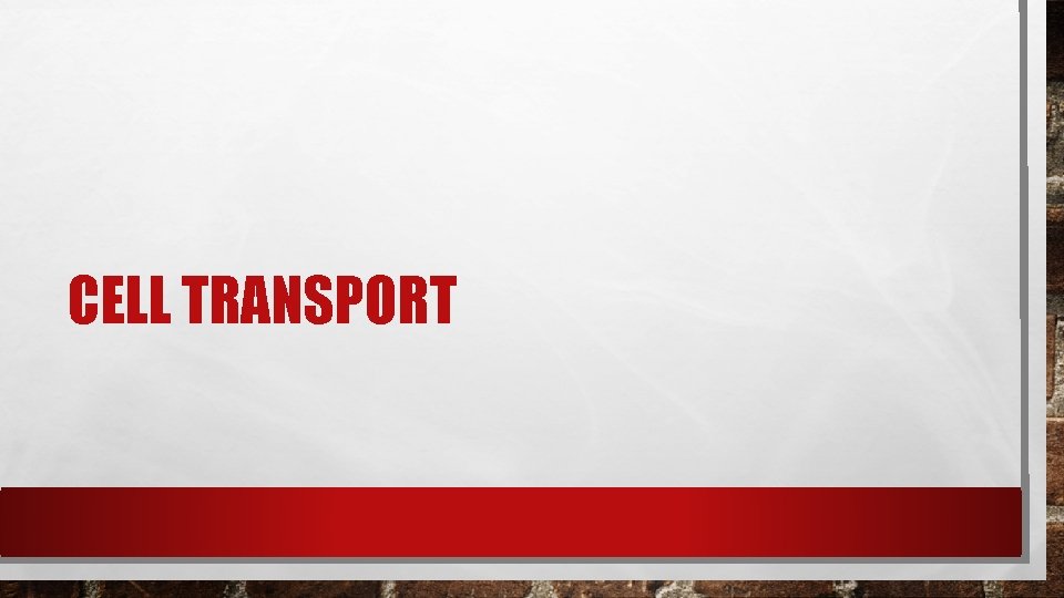 CELL TRANSPORT CELL TRANSPORT