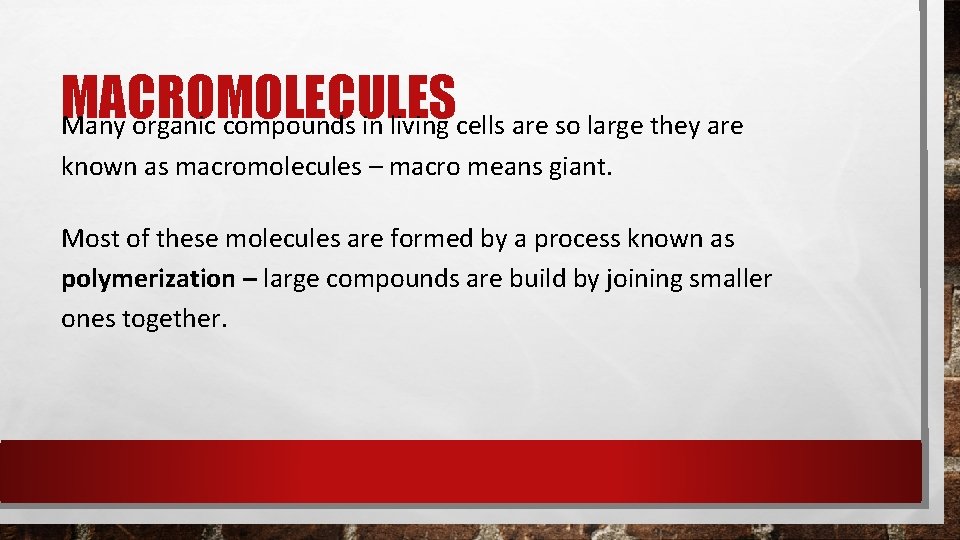 MACROMOLECULES Many organic compounds in living cells are so large they are known as MACROMOLECULES Many organic compounds in living cells are so large they are known as