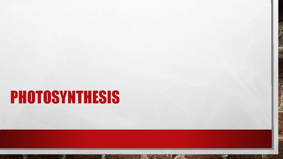 PHOTOSYNTHESIS PHOTOSYNTHESIS