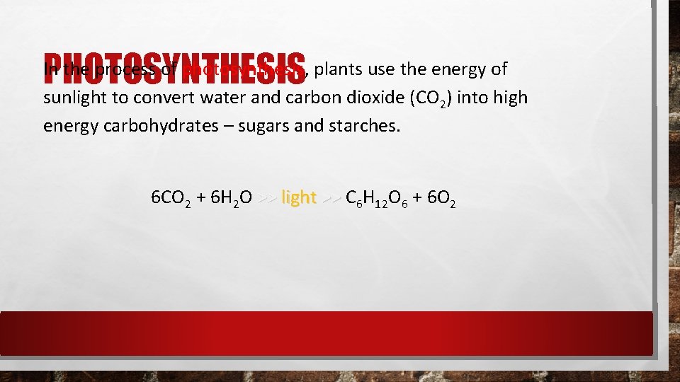 PHOTOSYNTHESIS In the process of photosynthesis, plants use the energy of sunlight to convert PHOTOSYNTHESIS In the process of photosynthesis, plants use the energy of sunlight to convert