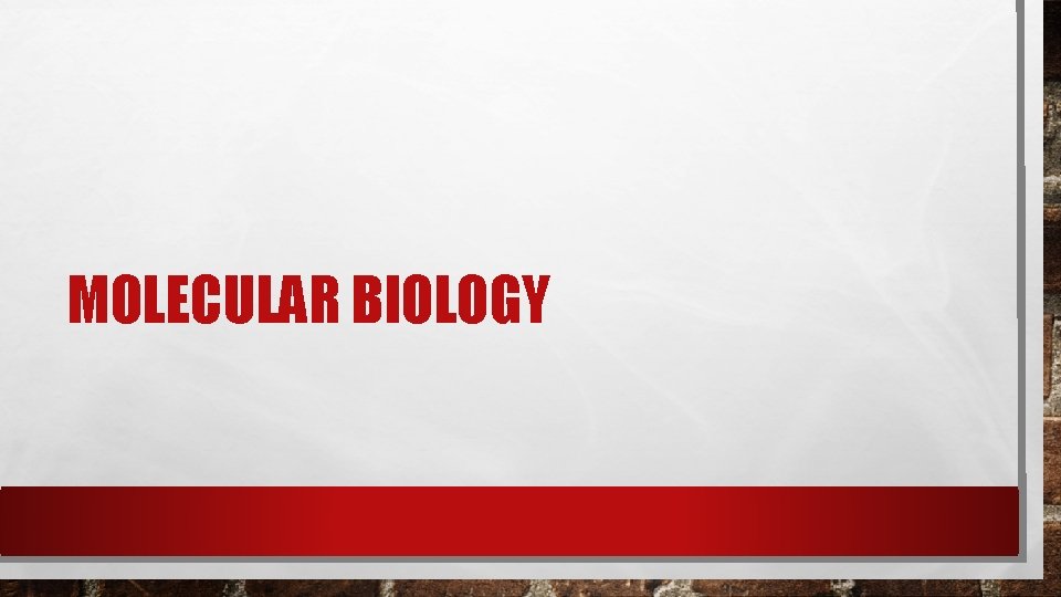 MOLECULAR BIOLOGY MOLECULAR BIOLOGY