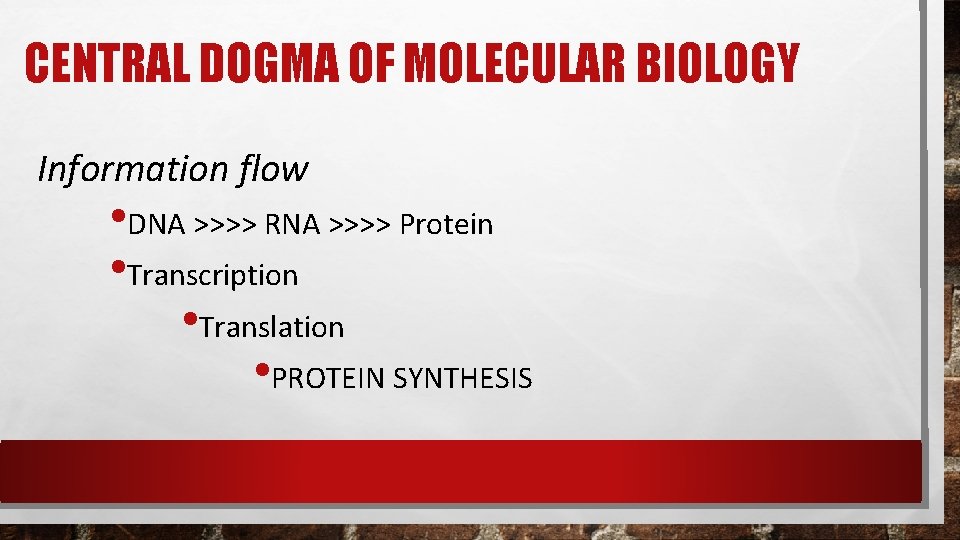 CENTRAL DOGMA OF MOLECULAR BIOLOGY Information flow • DNA >>>> RNA >>>> Protein • CENTRAL DOGMA OF MOLECULAR BIOLOGY Information flow • DNA >>>> RNA >>>> Protein •
