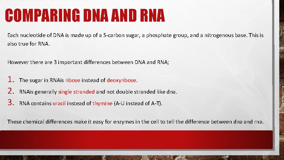 COMPARING DNA AND RNA Each nucleotide of DNA is made up of a 5 COMPARING DNA AND RNA Each nucleotide of DNA is made up of a 5