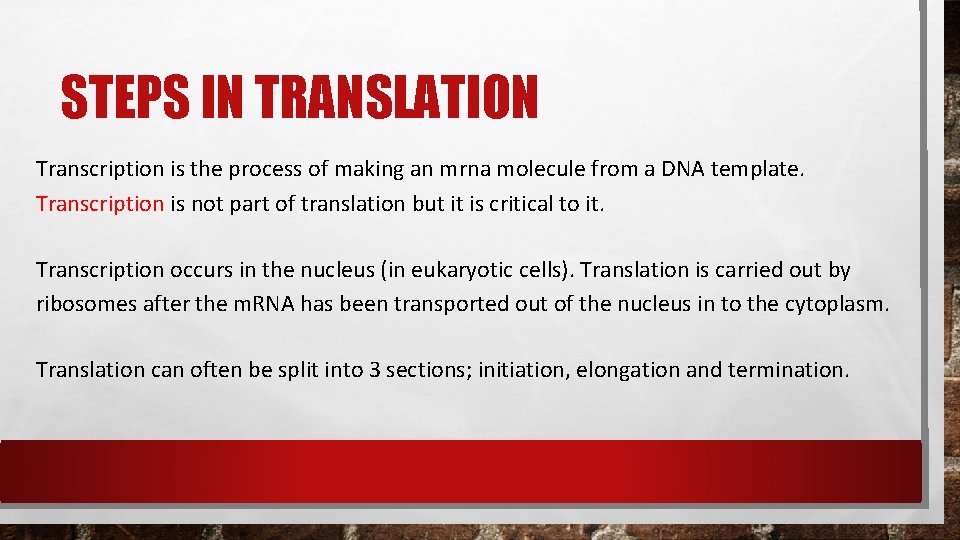 STEPS IN TRANSLATION Transcription is the process of making an mrna molecule from a STEPS IN TRANSLATION Transcription is the process of making an mrna molecule from a