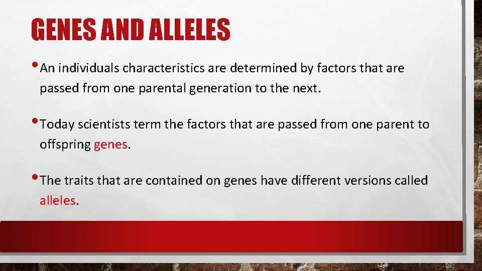 GENES AND ALLELES • An individuals characteristics are determined by factors that are passed GENES AND ALLELES • An individuals characteristics are determined by factors that are passed