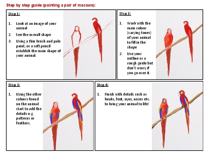 Step by step guide (painting a pair of macaws): Step 1: Step 2: 1.