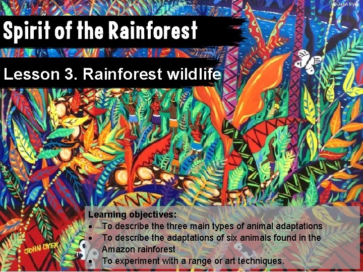 © John Dyer Lesson 3. Rainforest wildlife Learning objectives: To describe three main types