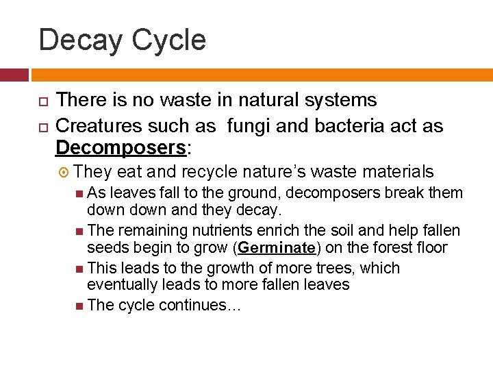 Decay Cycle There is no waste in natural systems Creatures such as fungi and