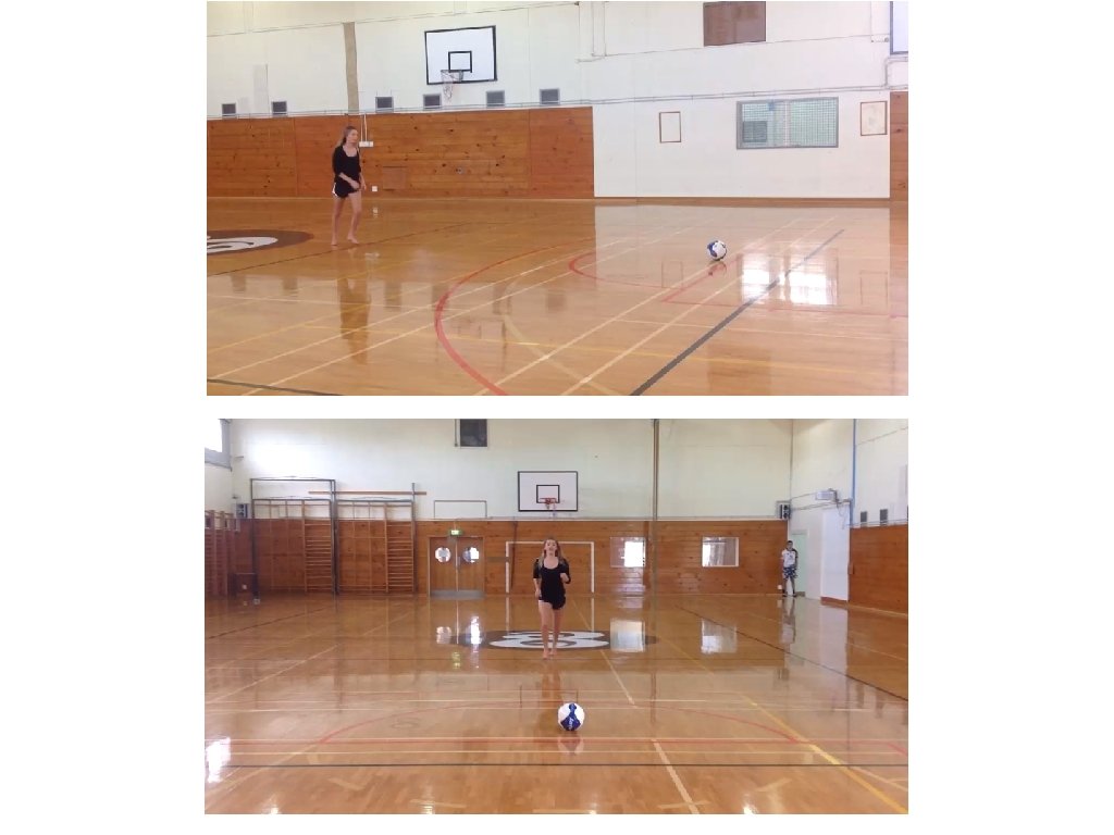 Anatomy Kendall Shakes Joint 1 Gliding joint ankle