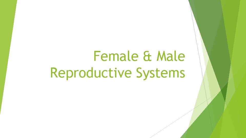 Female & Male Reproductive Systems 
