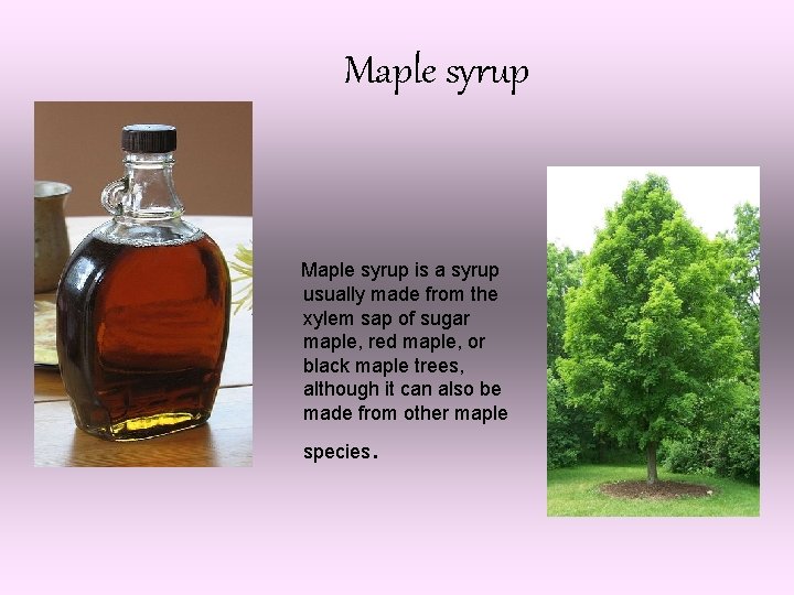 Maple syrup is a syrup usually made from the xylem sap of sugar maple,