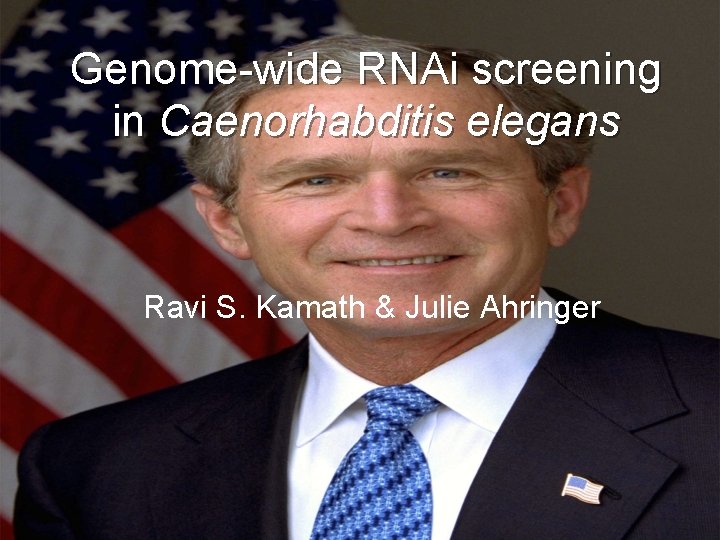 Genome-wide RNAi screening in Caenorhabditis elegans Ravi S. Kamath & Julie Ahringer 