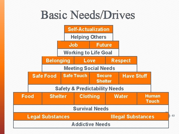 Basic Needs/Drives Self-Actualization Helping Others Job Future Working to Life Goal Belonging Love Respect