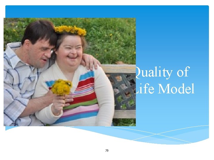 Quality of Life Model 73 