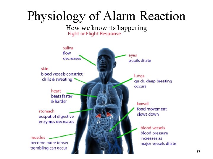 Physiology of Alarm Reaction How we know its happening 87 