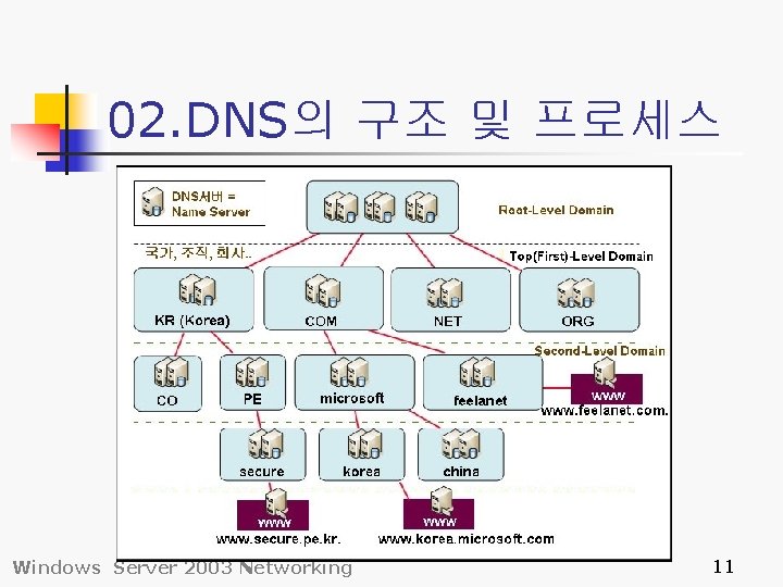 02. DNS의 구조 및 프로세스 Windows Server 2003 Networking 11 