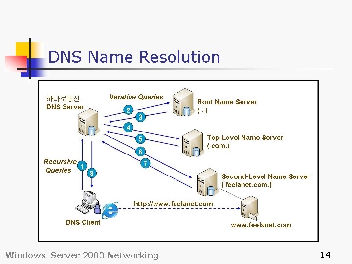 DNS Name Resolution Windows Server 2003 Networking 14 