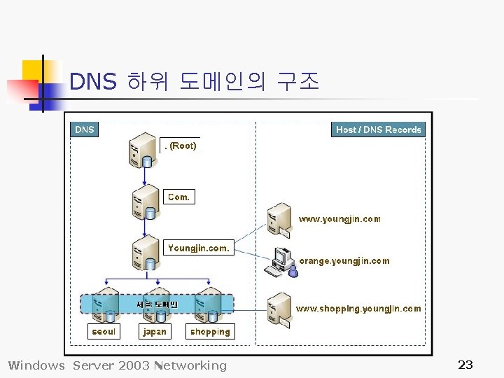 DNS 하위 도메인의 구조 Windows Server 2003 Networking 23 