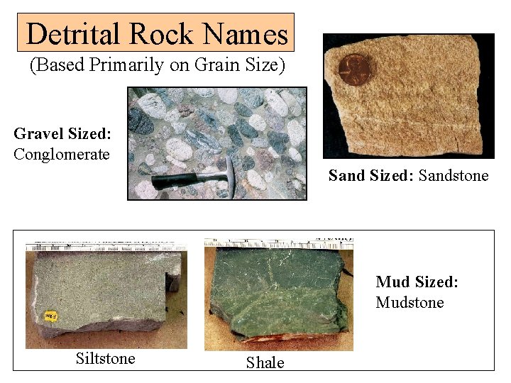 Detrital Rock Names (Based Primarily on Grain Size) Gravel Sized: Conglomerate Sand Sized: Sandstone