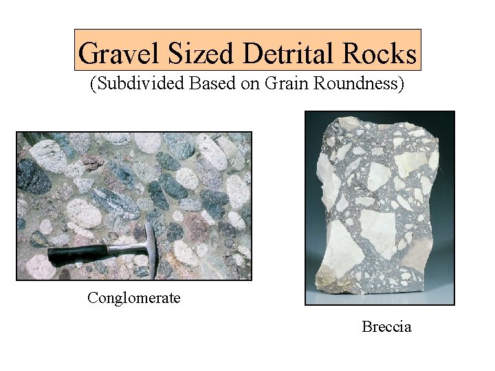 Gravel Sized Detrital Rocks (Subdivided Based on Grain Roundness) Conglomerate Breccia 