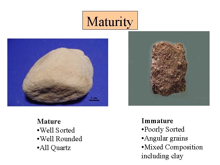 Maturity Mature • Well Sorted • Well Rounded • All Quartz Immature • Poorly