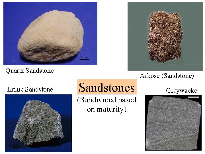 Quartz Sandstone Lithic Sandstone Arkose (Sandstone) Sandstones (Subdivided based on maturity) Greywacke 