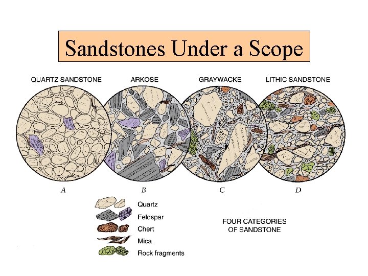 Sandstones Under a Scope 