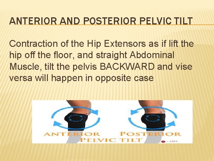 ANTERIOR AND POSTERIOR PELVIC TILT Contraction of the Hip Extensors as if lift the