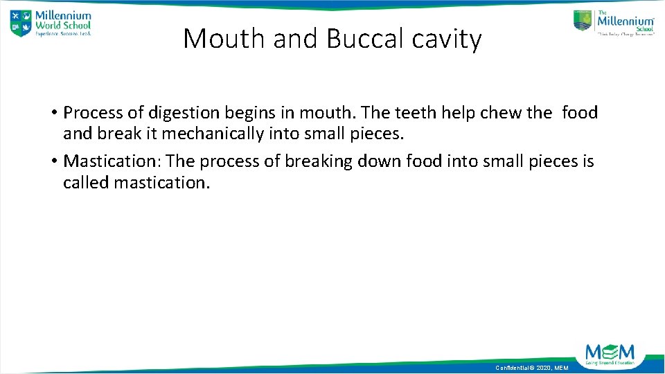 Mouth and Buccal cavity • Process of digestion begins in mouth. The teeth help