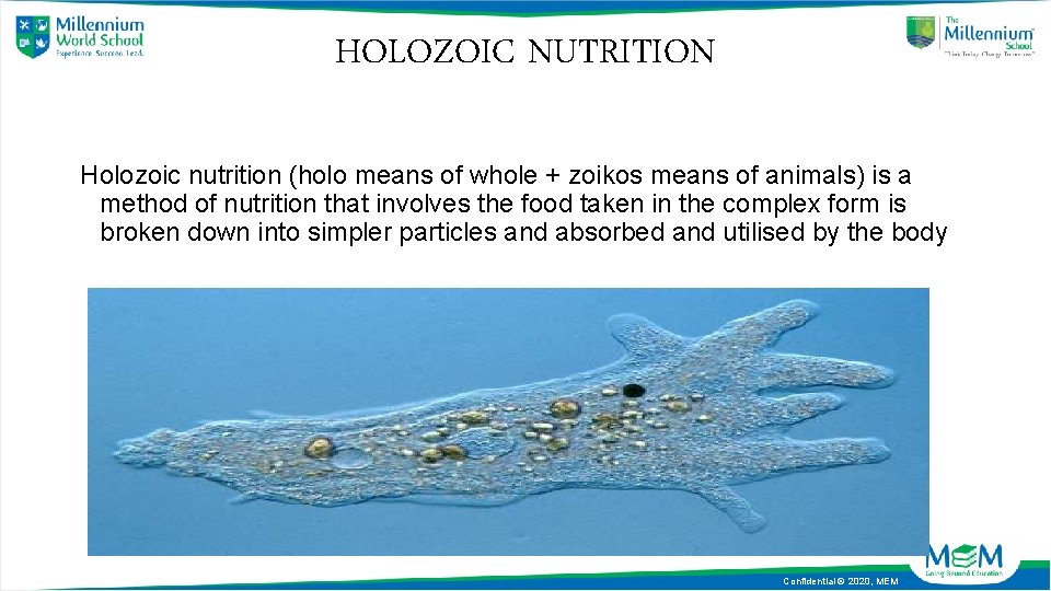 HOLOZOIC NUTRITION Holozoic nutrition (holo means of whole + zoikos means of animals) is