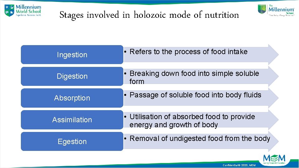 Stages involved in holozoic mode of nutrition Ingestion • Refers to the process of