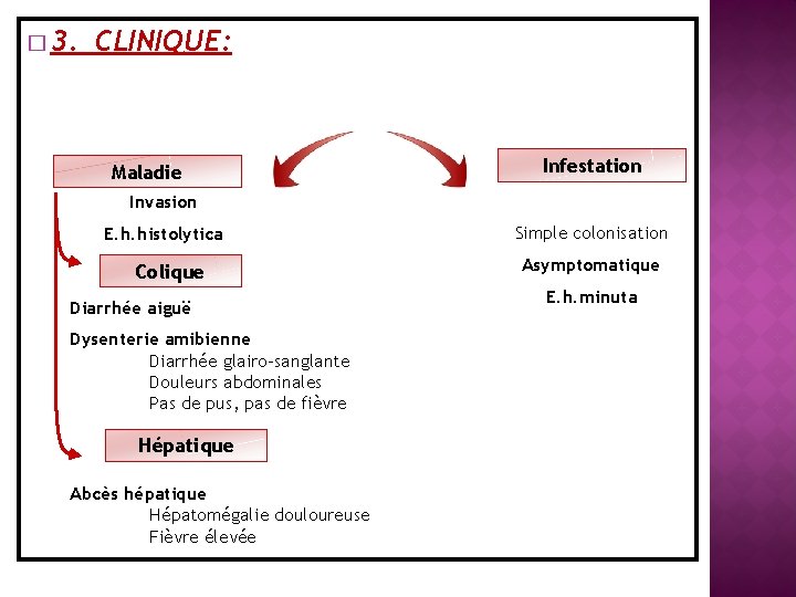 � 3. CLINIQUE: Maladie Infestation Invasion E. h. histolytica Colique Diarrhée aiguë Dysenterie amibienne