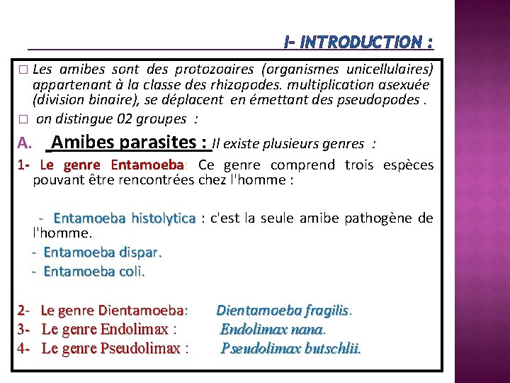 I- INTRODUCTION : Les amibes sont des protozoaires (organismes unicellulaires) appartenant à la classe