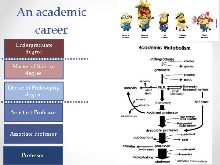 An academic career Undergraduate degree Master of Science degree Doctor of Philosophy degree Assistant