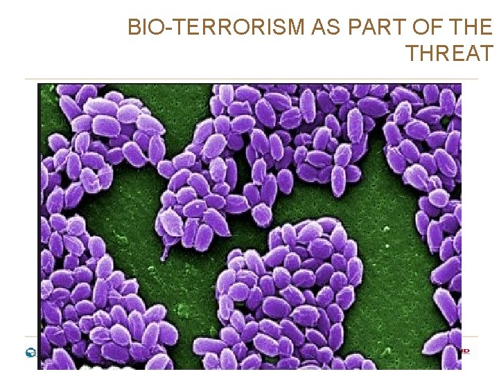 BIO-TERRORISM AS PART OF THE THREAT BIO-TERRORISM AS PART OF THE THREAT