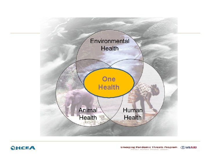 One Health One Health